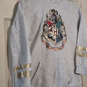 H&M Light Gray Kids Hoodie with Hogwarts Crest and Gold Stripes